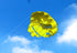 free shipping dual Line Stunt power Kite soft kite flying Parafoil kitesurf outdoor fun sports beach kiteboard ikite factory toy
