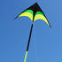free shipping large delta kite for adults kite nylon toys fly kites children kite reel weifang kite factory ikite eagle bird new