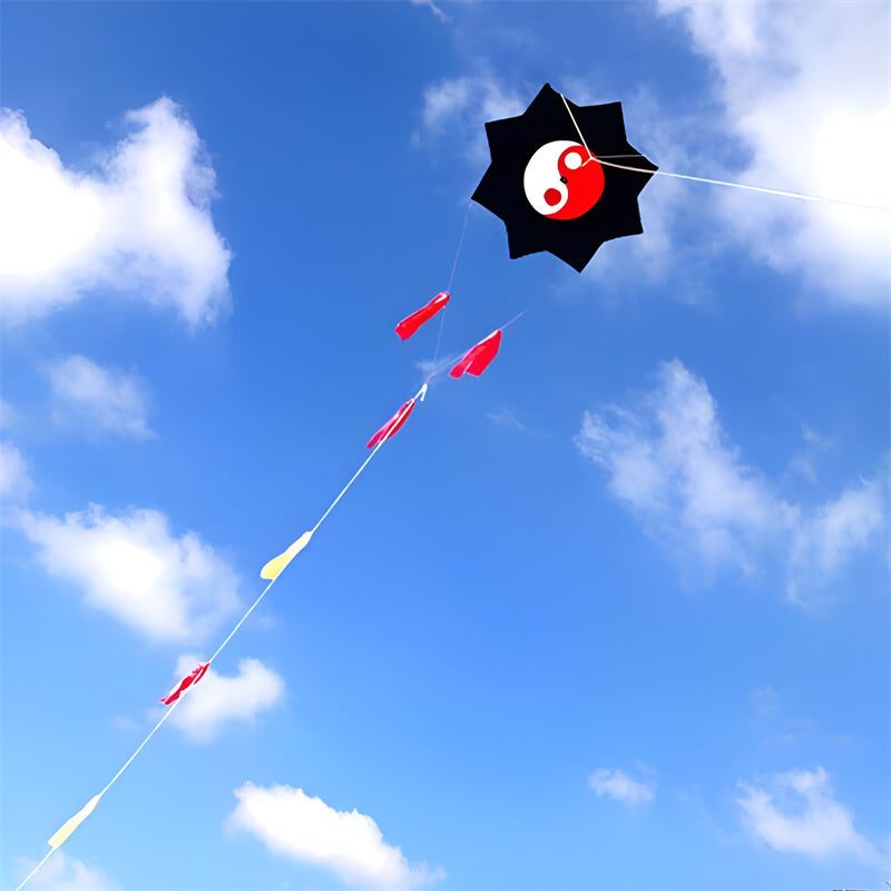 free shipping Gossip kite flying toy outdoor sport kite reel line ripstop nylon fabric traditional kite factory kite accessories