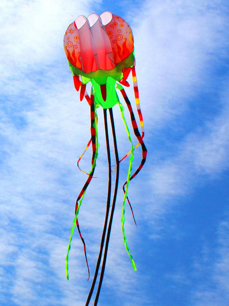 free shipping jellyfish kite flying soft kite reel for adults kites walk in sky octopus kites trilobites kites professional kite