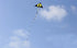 free shipping large wolf kite flying for kids wind kites adults kites string line parapent cerf paragliding parplan outdoor toys