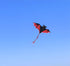 free shipping 3d dragon kite for kids kite nylon toys fly kites children kite line weifang bird kite factory ikite eagle