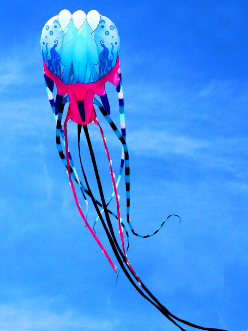 free shipping jellyfish kite flying soft kite reel for adults kites walk in sky octopus kites trilobites kites professional kite
