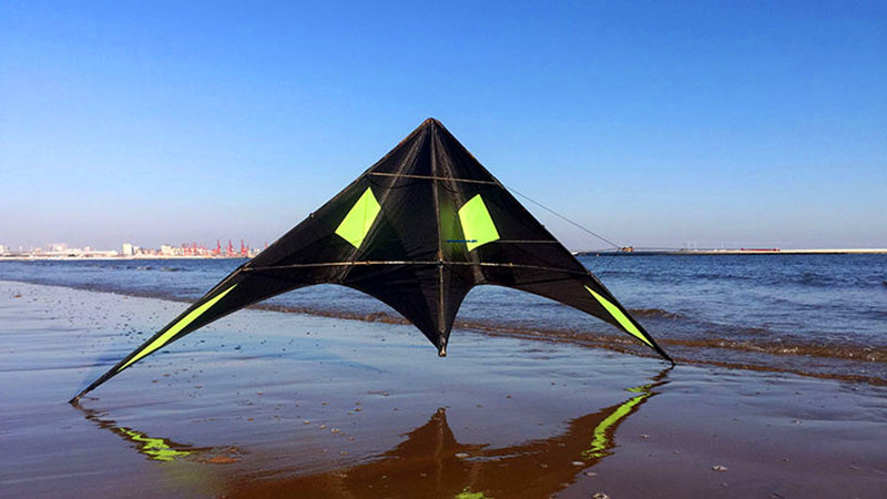 free shipping 240cm professional kites blackjazz 3 dual line stunt kites Freilein kite factory outdoor sports games loud