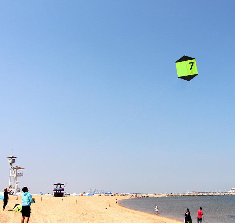 free shipping large kite for adults flying kite outdoor toy beach eagle kites dragon cartoon soft kite board 3d power kite