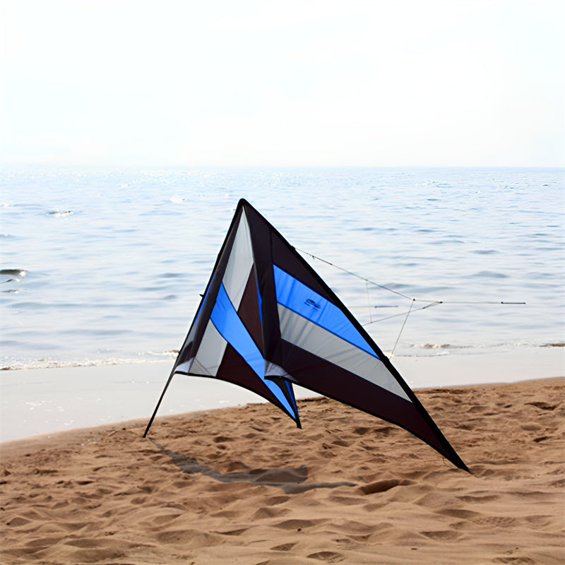 free shipping 250cm Professional Stunt kite Falcon kites flying Ballet Formation Kite factory Freilein kite dual line for adults
