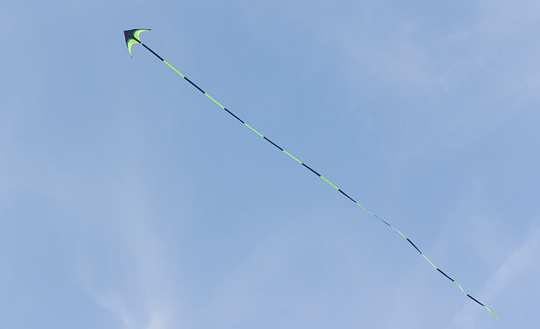 free shipping large delta kite for adults kite nylon toys fly kites children kite reel weifang kite factory ikite eagle bird new
