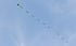 free shipping large delta kite for adults kite nylon toys fly kites children kite reel weifang kite factory ikite eagle bird new