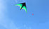 free shipping large delta kite for adults kite nylon toys fly kites children kite reel weifang kite factory ikite eagle bird new