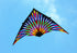 free shipping 6sqm large delta kite for adults reel outdoor toys for kids parachute kite kevlar line weifang factory kitesurf