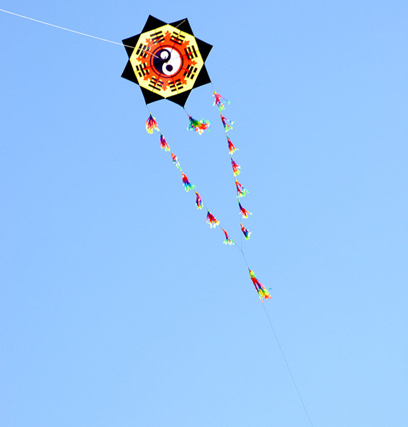 free shipping new gossip kite fly for outdoor toys parachute kites for adults electric shocker snake coil spinnaker balloons