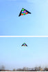 free shipping step by step delta kite fly for outdoor toys parachute kite for adults kite line large kite reel factory albatross