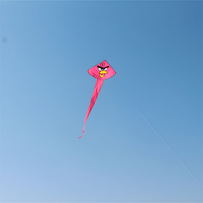 free shipping bird kite flying toys children kite beach kite paraglider wind sock kiteboarding kevlar line kite surf parachute