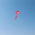 free shipping bird kite flying toys children kite beach kite paraglider wind sock kiteboarding kevlar line kite surf parachute