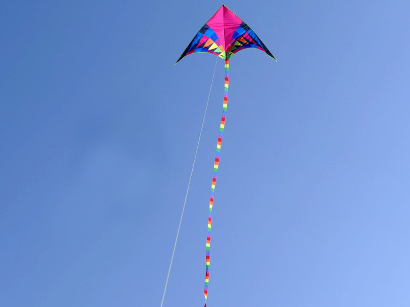 free shipping large delta kite for kids kite nylon toys flying kites rainbow kite line weifang eagle kite factory ikite reel