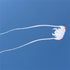 free shipping large trilobites kite fly weifang big soft kite reel for adults outdoor toys kevlar octopus walk in sky kaixuan