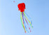 free shipping children kite flying toys octopus kite inflatable kites factory walk in sky outdoor fun ikite professional winds