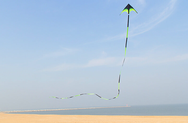 free shipping large delta kite for adults kite nylon toys fly kites children kite reel weifang kite factory ikite eagle bird new