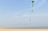 free shipping large delta kite for adults kite nylon toys fly kites children kite reel weifang kite factory ikite eagle bird new