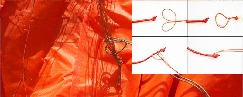 free shipping fish kite flying ladybug kite animated kites for kids inflatable kite fabric ripstop nylon primaris wind indicator