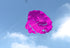 free shipping dual Line Stunt power Kite soft kite flying Parafoil kitesurf outdoor fun sports beach kiteboard ikite factory toy
