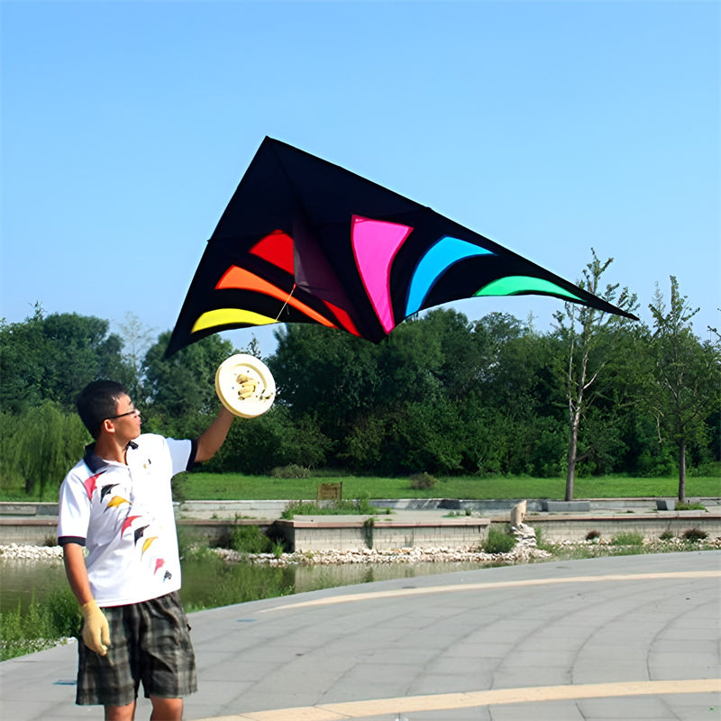 free shipping rainbow delta kites for adults reel windsocks kite flying children kite string weifang kite factory Single line