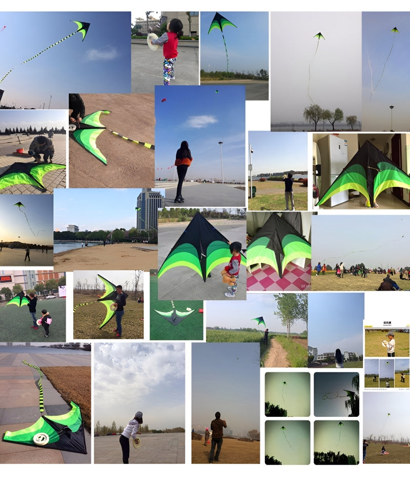free shipping large delta kite toys outdoor fun flying kites for adults kite reel weifang kite factory eagle kites line ikite