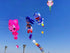 free shipping new 13m large octopus kites for adult flying toys kite reel ripstop nylon kevlar paragliding outdoor