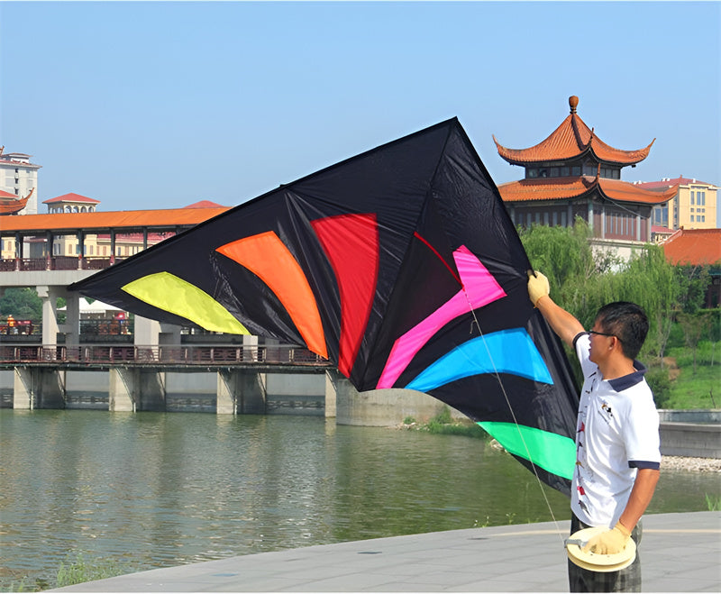 free shipping rainbow delta kites for adults reel windsocks kite flying children kite string weifang kite factory Single line