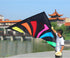 free shipping rainbow delta kites for adults reel windsocks kite flying children kite string weifang kite factory Single line