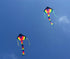 free shipping rainbow bird kite for kids kite nylon toys flying kites children kite line weifang large kite factory ikite store