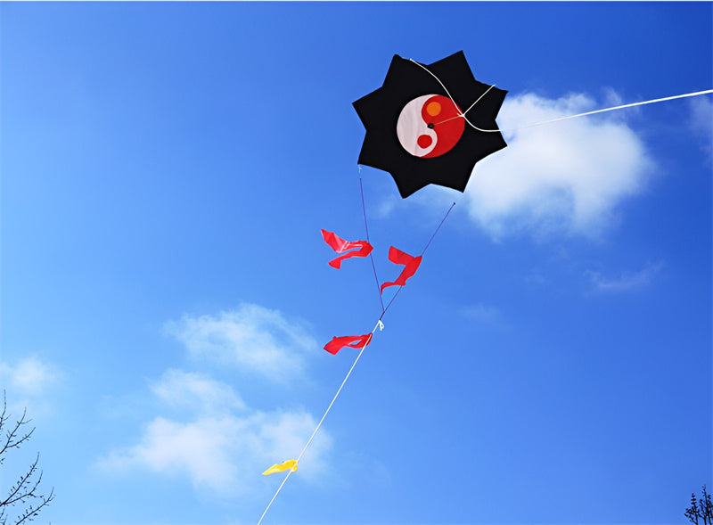 free shipping Gossip kite flying toy outdoor sport kite reel line ripstop nylon fabric traditional kite factory kite accessories