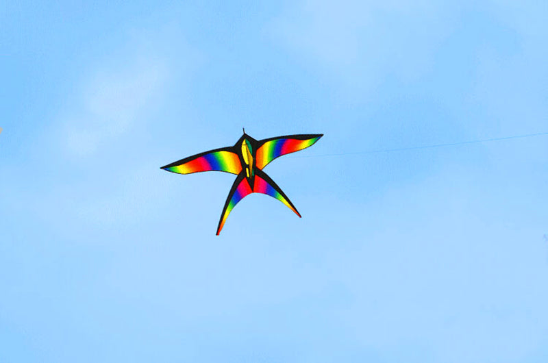 free shipping rainbow bird kite for kids kite nylon toys flying kites children kite line weifang large kite factory ikite store