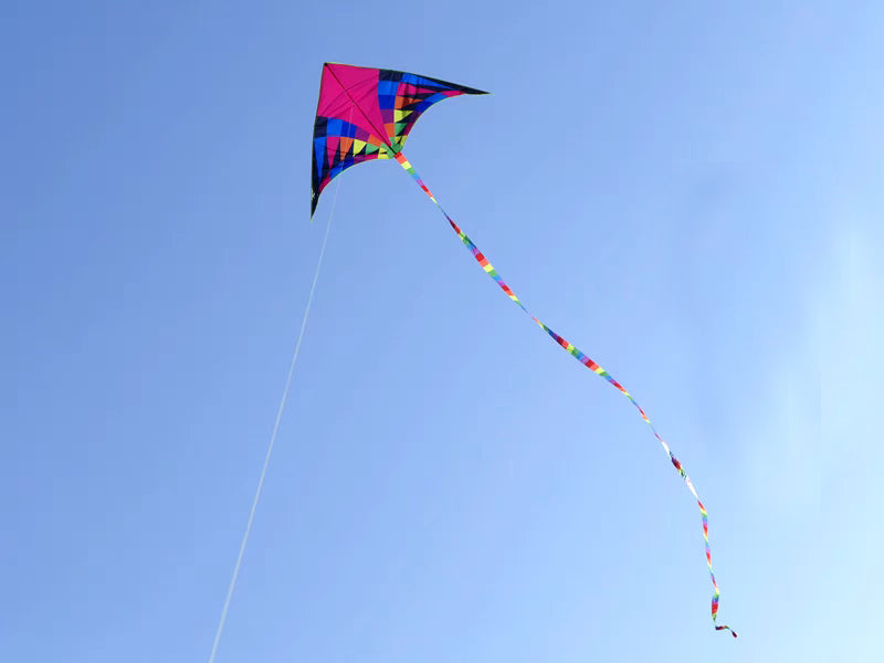 free shipping large delta kite for kids kite nylon toys flying kites rainbow kite line weifang eagle kite factory ikite reel