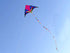 free shipping large delta kite for kids kite nylon toys flying kites rainbow kite line weifang eagle kite factory ikite reel