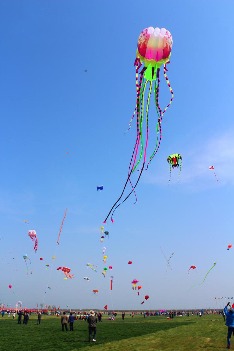 free shipping jellyfish kite flying soft kite reel for adults kites walk in sky octopus kites trilobites kites professional kite