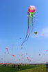 free shipping jellyfish kite flying soft kite reel for adults kites walk in sky octopus kites trilobites kites professional kite