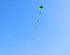 free shipping large delta kite for adults kite nylon toys fly kites children kite reel weifang kite factory ikite eagle bird new