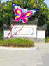 free shipping butterfly kites flying for kids kites nylon kites factory professional winds kites recreational reel flying fairy