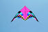 free shipping 6sqm delta kite for adults kites flying string line nylon professional kite reel ikite buggy parachute factory