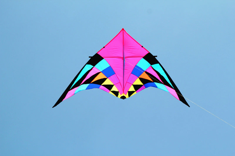 free shipping giant kites flying delta kites for adults kites line kevlar rainbow high kites factory outdoor toys walk in sky
