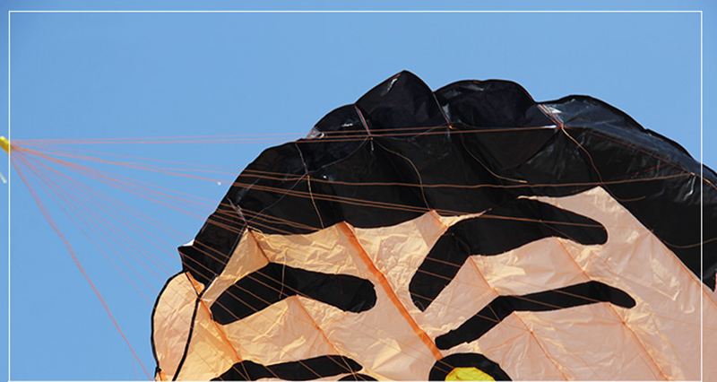 Free shipping giant soft kites flying children kites toys with handle line nylon kites factory children's comet bolator fishing
