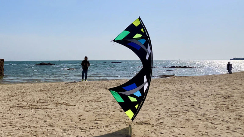 Free Shipping Freilein kites flying stunt kites quad line kites for adults kite reel outdoor toys Smoking sports kite Power kite