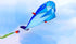 free shipping large soft kite dolphin kite nylon kite line animated kites flying inflatable kite reel outdoor fun toys Parafoil