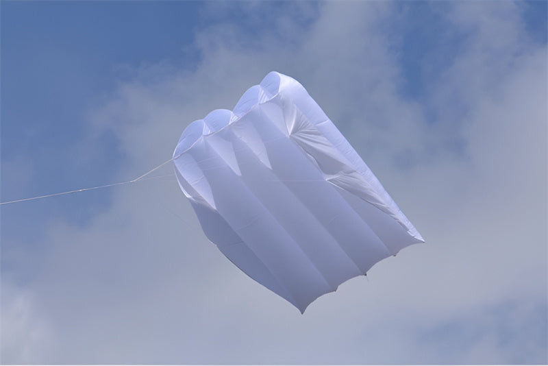 free shipping 36sqm large pilot kite flying inflatable kite parachute kite pendant professional kites and rays octopus kites