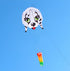 free shipping large dog kite flying professional kite factory walk in sky animal kite outdoor toys weifang kite real parachute