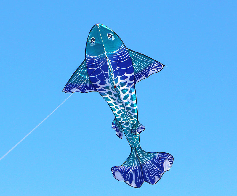 free shipping new fish kites giant kites for adults professional winds kites ripstop fabric Kite flying Outdoor toys koi fish