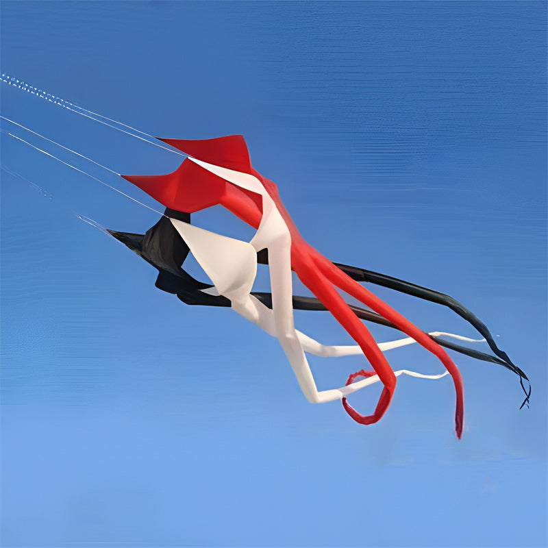 free shipping high quality 6m rainbow windsock kite flying large kites adult kite reel ripstop nylon kite wind kites bat kites