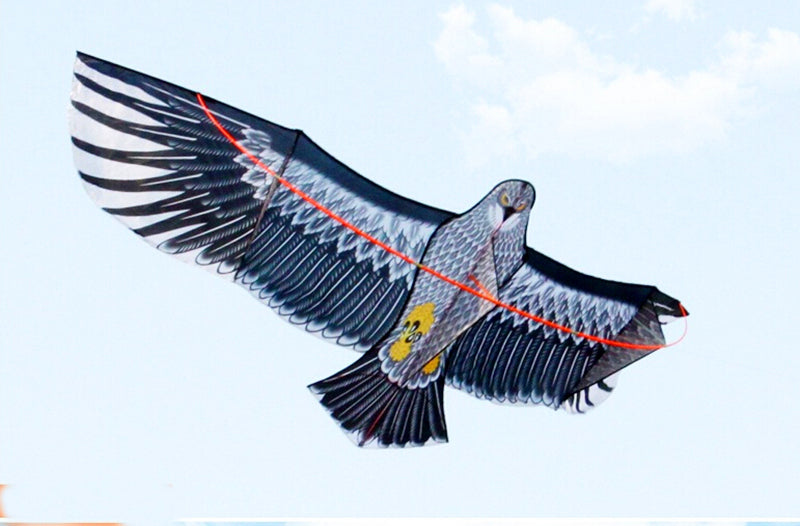 free shipping 360cm large eagle kite ripstop nylon fabric kite kiteboard windsock flying kite for children kites factory ikite