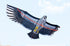free shipping 360cm large eagle kite ripstop nylon fabric kite kiteboard windsock flying kite for children kites factory ikite